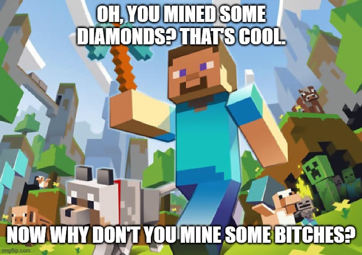 Whatever you do, don't waste diamonds on a hoe. | OH, YOU MINED SOME DIAMONDS? THAT'S COOL. NOW WHY DON'T YOU MINE SOME BITCHES? | image tagged in minecraft,no bitches,memes,gottem,oh wow are you actually reading these tags | made w/ Imgflip meme maker
