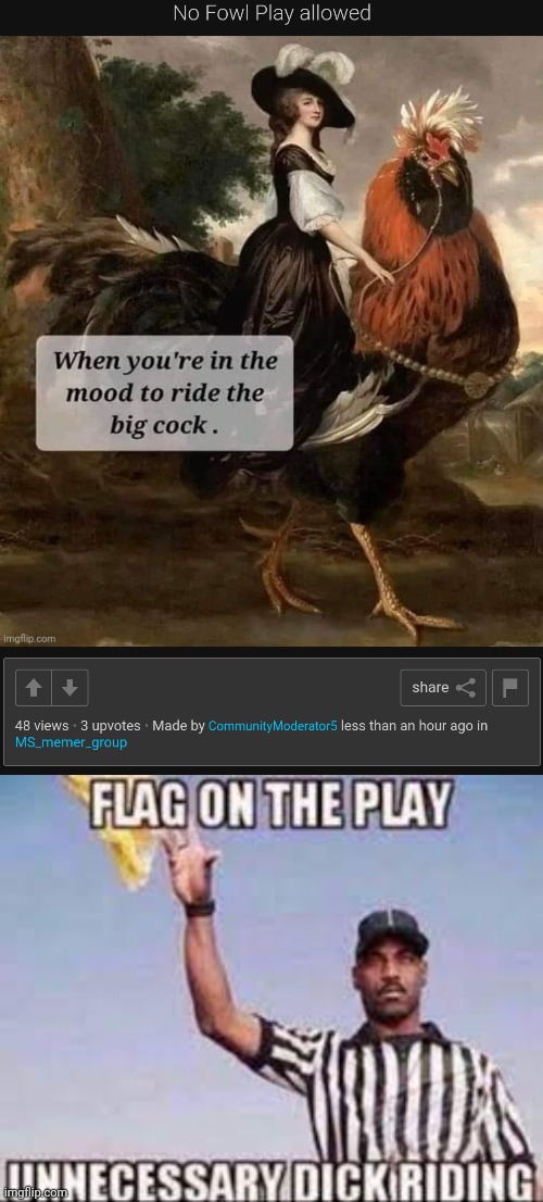 image tagged in flag on the play unnecessary dick riding | made w/ Imgflip meme maker