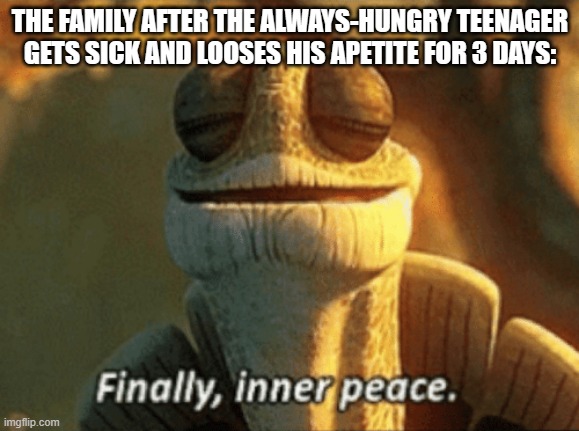 Now I don't have to worry about devouring the popcorn before my brother does :D | THE FAMILY AFTER THE ALWAYS-HUNGRY TEENAGER GETS SICK AND LOOSES HIS APETITE FOR 3 DAYS: | image tagged in finally inner peace | made w/ Imgflip meme maker