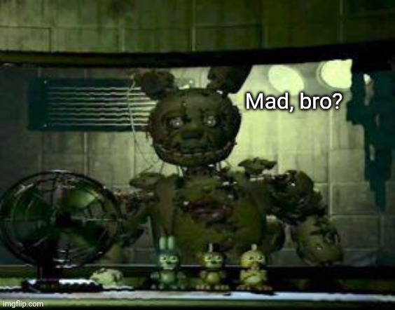 FNAF Springtrap in window | Mad, bro? | image tagged in fnaf springtrap in window | made w/ Imgflip meme maker