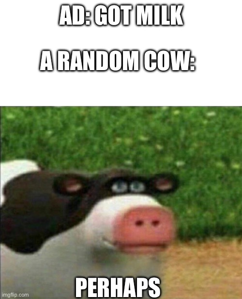 Perhaps cow | AD: GOT MILK; A RANDOM COW:; PERHAPS | image tagged in perhaps cow | made w/ Imgflip meme maker