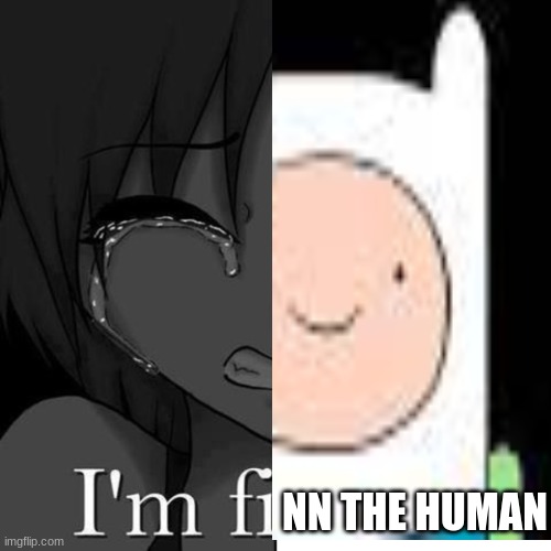 NN THE HUMAN | made w/ Imgflip meme maker