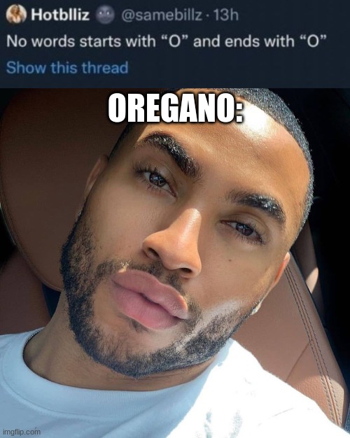 OREGANO: | image tagged in lightskin rizz | made w/ Imgflip meme maker