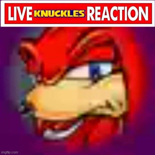 live knuckles reaction | image tagged in live knuckles reaction | made w/ Imgflip meme maker