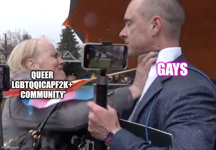 Gay not LGBTQ+alphabet | GAYS; QUEER 
LGBTQQICAPF2K+ 
COMMUNITY' | image tagged in gay | made w/ Imgflip meme maker