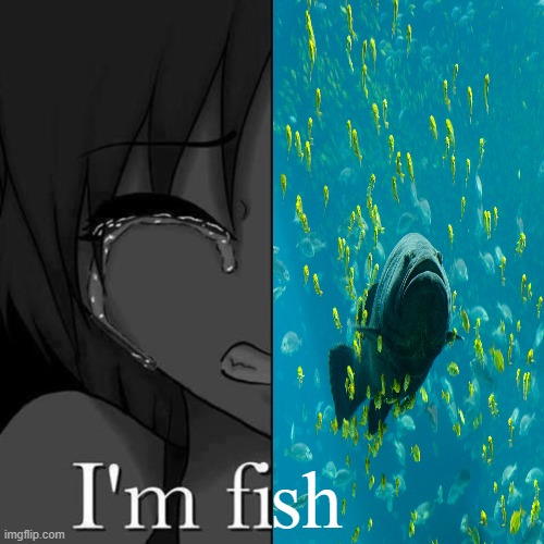 I'm fish | sh | image tagged in i'm fi,fish,memes,unfunny | made w/ Imgflip meme maker