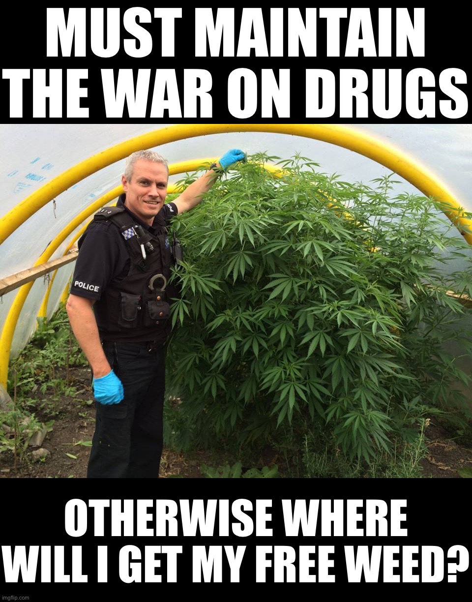 Don’t do drugs kids (not even once) or you may end up like this cop. #bluelivesmatter | MUST MAINTAIN THE WAR ON DRUGS; OTHERWISE WHERE WILL I GET MY FREE WEED? | image tagged in police weed cannabis stoned,blue lives matter,drugs are bad,don't do drugs,not even once,war on drugs | made w/ Imgflip meme maker