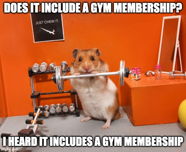 Gym Rat | DOES IT INCLUDE A GYM MEMBERSHIP? I HEARD IT INCLUDES A GYM MEMBERSHIP | image tagged in gym rat | made w/ Imgflip meme maker
