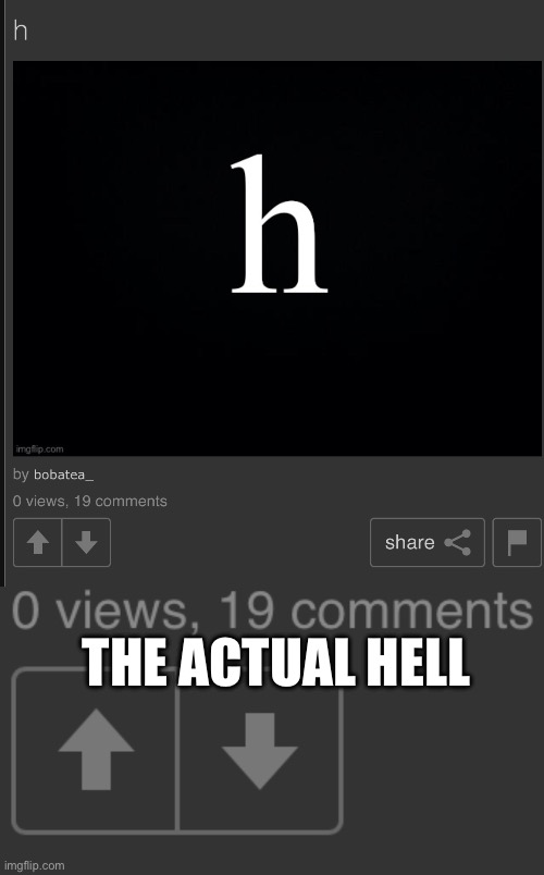 I mean, 19 comments. I don’t want to know what major controversy embarked on that image. | THE ACTUAL HELL | made w/ Imgflip meme maker