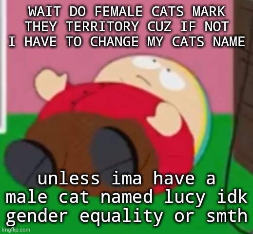 cartman | WAIT DO FEMALE CATS MARK THEY TERRITORY CUZ IF NOT I HAVE TO CHANGE MY CATS NAME; unless ima have a male cat named lucy idk
gender equality or smth | image tagged in cartman | made w/ Imgflip meme maker