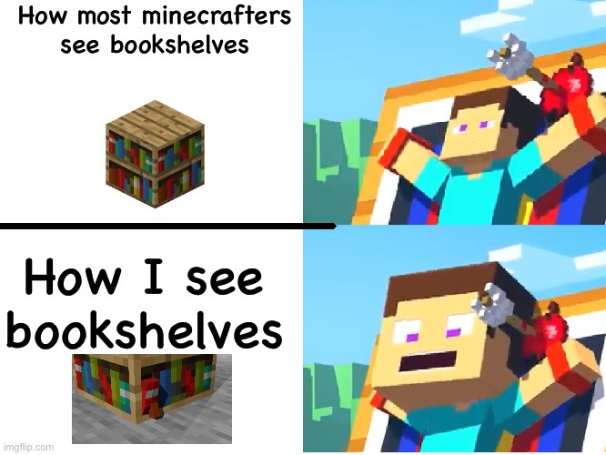 Steve Screaming | How most minecrafters see bookshelves; How I see bookshelves | image tagged in steve screaming,minecraft,minecraft memes,minecraft steve | made w/ Imgflip meme maker
