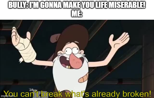 BULLY: I'M GONNA MAKE YOU LIFE MISERABLE!
ME:; You can't break what's already broken! | image tagged in memes,funny,bully,gravity falls | made w/ Imgflip meme maker