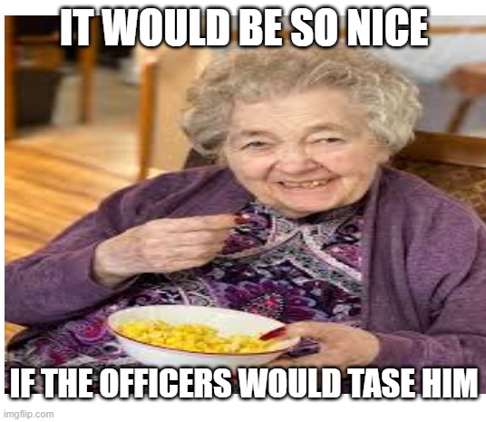 IT WOULD BE SO NICE IF THE OFFICERS WOULD TASE HIM | made w/ Imgflip meme maker