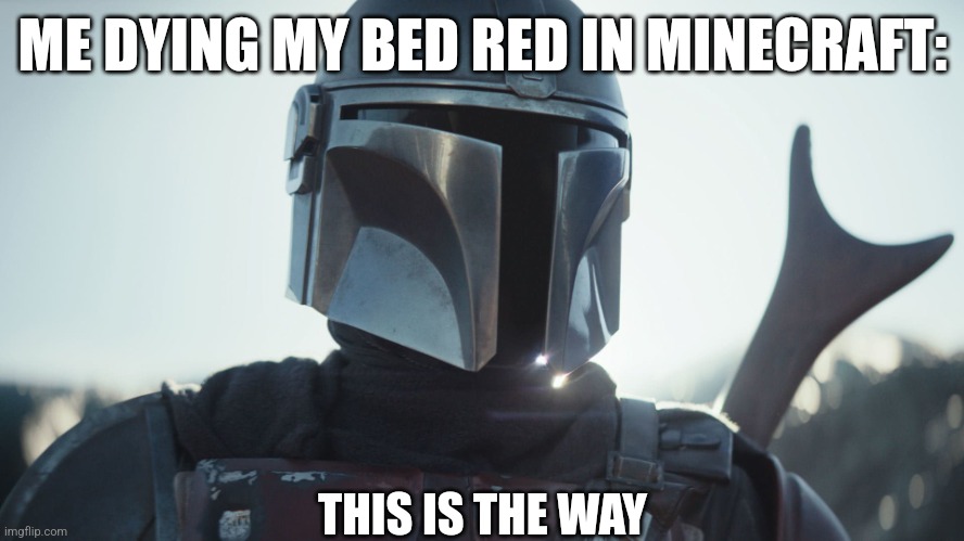 This is the way | ME DYING MY BED RED IN MINECRAFT:; THIS IS THE WAY | image tagged in the mandalorian | made w/ Imgflip meme maker
