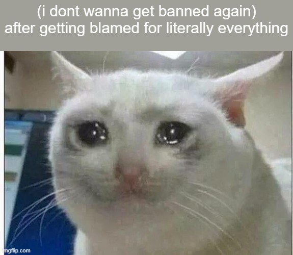 crying cat | (i dont wanna get banned again) after getting blamed for literally everything | image tagged in crying cat | made w/ Imgflip meme maker