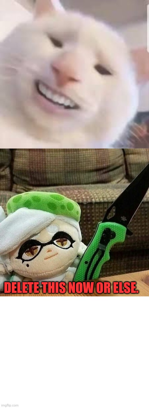 DELETE THIS NOW OR ELSE. | image tagged in cursed cat,marie plush with a knife | made w/ Imgflip meme maker