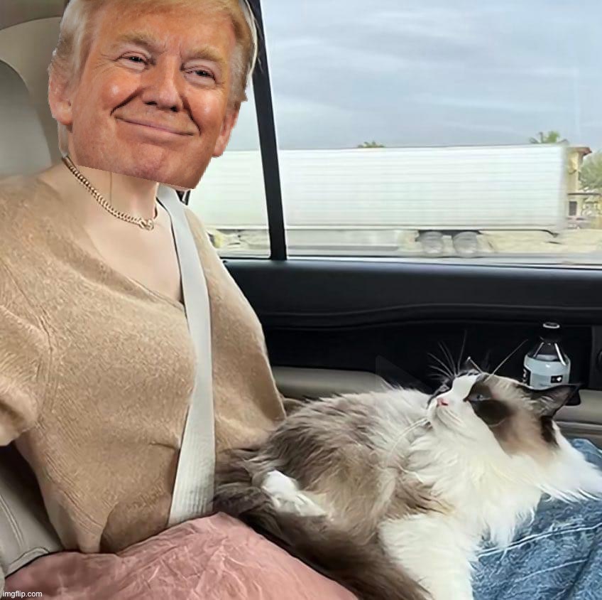 Donald Trump on his way to the indictment | image tagged in donald trump on his way to the indictment | made w/ Imgflip meme maker