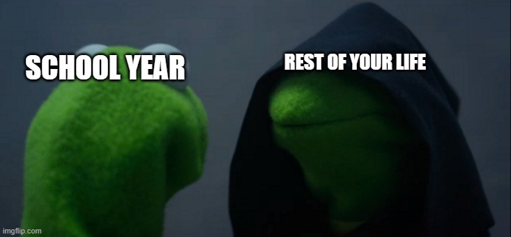 SCHOOL YEAR REST OF YOUR LIFE | image tagged in memes,evil kermit | made w/ Imgflip meme maker