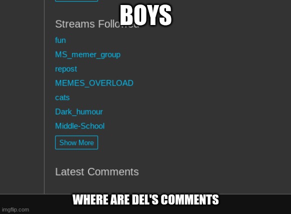 gone duh (wait yall dont know how to make them disappear?) | BOYS; WHERE ARE DEL'S COMMENTS | made w/ Imgflip meme maker