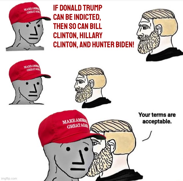 MAGA, your terms are acceptable | If Donald Trump can be indicted, then so can Bill Clinton, Hillary Clinton, and Hunter Biden! | image tagged in maga your terms are acceptable,conservative logic,democrats,democratic party,trump supporters,trump is a moron | made w/ Imgflip meme maker