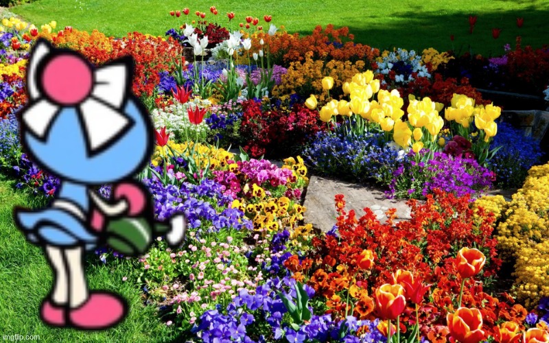 Aqua Bomber watering the garden | image tagged in flower garden | made w/ Imgflip meme maker
