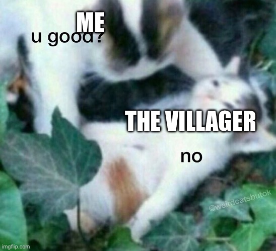 u good? no | ME THE VILLAGER | image tagged in u good no | made w/ Imgflip meme maker