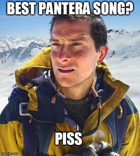 Bear Grylls | BEST PANTERA SONG? PISS | image tagged in memes,bear grylls | made w/ Imgflip meme maker