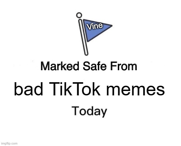 Vine had better memes |  Vine; bad TikTok memes | image tagged in memes,marked safe from | made w/ Imgflip meme maker