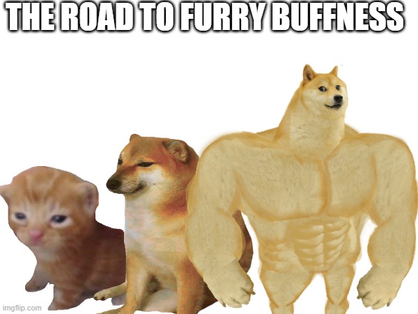 The Road to Furry Buffness | THE ROAD TO FURRY BUFFNESS; 00100010 01000110 01110101 01110010 01110010 01111001 00100010 00100000 01101001 01110011 00100000 01100001 00100000 01110100 01100101 01110010 01101101 00100000 01110011 01101000 01101111 01110010 01110100 00100000 01100110 01101111 01110010 00100000 00100010 01000110 01110101 01110010 01110010 01111001 00100000 01000110 01100001 01101110 01100100 01101111 01101101 00101110 00100010 00100000 01000110 01110101 01110010 01110010 01101001 01100101 01110011 00100000 01100001 01110010 01100101 00100000 01110000 01100101 01101111 01110000 01101100 01100101 00100000 01110111 01101000 01101111 00100000 01100110 01101001 01101110 01100100 00100000 01100001 01101110 01110100 01101000 01110010 01101111 01110000 01101111 01101101 01101111 01110010 01110000 01101000 01101001 01100011 00100000 01100001 01101110 01101001 01101101 01100001 01101100 01110011 00100000 01100110 01100001 01110011 01100011 01101001 01101110 01100001 01110100 01101001 01101110 01100111 00101110 00100000 01010100 01101000 01100101 01111001 00100000 01100001 01110010 01100101 00100000 01101011 01101110 01101111 01110111 01101110 00100000 01100110 01101111 01110010 00100000 01110100 01101000 01100101 01101001 01110010 00100000 01100011 01110101 01110011 01110100 01101111 01101101 00101101 01101101 01100001 01100100 01100101 00100000 00100010 01100110 01110101 01110010 01110011 01110101 01101001 01110100 01110011 00100010 00101100 00100000 01110101 01110011 01110101 01100001 01101100 01101100 01111001 00100000 01100100 01101111 01101110 01100101 00100000 01101111 01100110 00100000 01110100 01101000 01100101 01101001 01110010 00100000 01101111 01110111 01101110 00100000 01101111 01110010 01101001 01100111 01101001 01101110 01100001 01101100 00100000 01100011 01101000 01100001 01110010 01100001 01100011 01110100 01100101 01110010 01110011 00100000 01100011 01100001 01101100 01101100 01100101 01100100 00100000 00100010 01100110 01110101 01110010 01110011 01101111 01101110 01100001 01110011 00101110 00100010 00100000 01001000 01101111 01110111 01100101 01110110 01100101 01110010 00100000 01101110 01101111 01110100 00100000 01100101 01110110 01100101 01110010 01111001 01101111 01101110 01100101 00100000 01101001 01101110 00100000 01110100 01101000 01100101 00100000 01100110 01100001 01101110 01100100 01101111 01101101 00100000 01101000 01100001 01110011 00100000 01100001 00100000 01100110 01110101 01110010 01110011 01110101 01101001 01110100 00101110 00100000 01010111 01101000 01101001 01101100 01100101 00100000 01101100 01101111 01110100 01110011 00100000 01101111 01100110 00100000 01110000 01100101 01101111 01110000 01101100 01100101 00100000 01110100 01101000 01101001 01101110 01101011 00100000 01110100 01101000 01100101 01110011 01100101 00100000 01100110 01110101 01110010 01110011 01110101 01101001 01110100 01110011 00100000 01100001 01110010 01100101 00100000 01110101 01110011 01100101 01100100 00100000 01100110 01101111 01110010 00100000 01110011 01100101 01111000 01110101 01100001 01101100 00100000 01101001 01101110 01110100 01100101 01110010 01100011 01101111 01110101 01110010 01110011 01100101 00100000 01110111 01101001 01110100 01101000 00100000 01101111 01110100 01101000 01100101 01110010 00100000 01100110 01110101 01110010 01110010 01101001 01100101 01110011 00101100 00100000 01110100 01101000 01101001 01110011 00100000 01101001 01110011 00100000 01110110 01100101 01110010 01111001 00100000 01101101 01110101 01100011 01101000 00100000 01101110 01101111 01110100 00100000 01100001 01101100 01110111 01100001 01111001 01110011 00100000 01110100 01101000 01100101 00100000 01100011 01100001 01110011 01100101 00101100 00100000 01110111 01101000 01101001 01101100 01100101 00100000 01110011 01101111 01101101 01100101 00100000 01110100 01101000 01101001 01101110 01100111 01110011 00100000 01101001 01101110 00100000 01110100 01101000 01100101 00100000 01100110 01100001 01101110 01100100 01101111 01101101 00100000 01100001 01110010 01100101 00100000 01110011 01100101 01111000 01110101 01100001 01101100 00100000 01100001 00100000 01101100 01101111 01110100 00100000 01101001 01110011 01101110 00100111 01110100 00101110 00100000 01000110 01110101 01110010 01110011 01101111 01101110 01100001 00100111 01110011 00100000 01100001 01110010 01100101 00100000 01101101 01101111 01110011 01110100 01101100 01111001 00100000 01110101 01110011 01100101 01100100 00100000 01110100 01101111 00100000 01110010 01100101 01110000 01110010 01100101 01110011 01100101 01101110 01110100 00100000 01110100 01101000 01100101 00100000 01110000 01100101 01110010 01110011 01101111 01101110 00101100 00100000 01110100 01101000 01101001 01110011 00100000 01100011 01101111 01110101 01101100 01100100 00100000 01100010 01100101 00100000 01110100 01101000 01110010 01101111 01110101 01100111 01101000 00100000 01100100 01100101 01110011 01101001 01100111 01101110 00101100 00100000 01110000 01100101 01110010 01110011 01101111 01101110 01100001 01101100 01101001 01110100 01111001 00101100 00100000 01100001 01101110 01100100 00100000 01100101 01110100 01100011 00101110 00100000 01010011 01101111 01101101 01100101 01110100 01101001 01101101 01100101 01110011 00100000 01100110 01110101 01110010 01110011 01101111 01101110 01100001 00100111 01110011 00100000 01100011 01100001 01101110 00100000 01100010 01100101 00100000 01100001 01101110 00100000 01101001 01100100 01100101 01100001 01101100 01101001 01111010 01100101 01100100 00100000 01110110 01100101 01110010 01110011 01101001 01101111 01101110 00100000 01101111 01100110 00100000 01110100 01101000 01100101 00100000 01101111 01110111 01101110 01100101 01110010 00101110 00100000 01000110 01110101 01110010 01110010 01101001 01100101 01110011 00100000 01101111 01100110 01110100 01100101 01101110 00100000 01101000 01100001 01110110 01100101 00100000 01100001 00100000 01100010 01100001 01100100 00100000 01110011 01110100 01101001 01100111 01101101 01100001 00100000 01100110 01101111 01110010 00100000 01100010 01100101 01101001 01101110 01100111 00100000 00100010 01110111 01100101 01101001 01110010 01100100 00100010 00100000 01100001 01101110 01100100 00101111 01101111 01110010 00100000 01110011 01110100 01110010 01100001 01101001 01100111 01101000 01110100 00101101 01110101 01110000 00100000 01111010 01101111 01101111 01110000 01101000 01101001 01101100 01100101 01110011 00101110 00100000 01010100 01101000 01100101 00100000 01110011 01100101 01100011 01101111 01101110 01100100 00100000 01100011 01101100 01100001 01101001 01101101 00100000 01101001 01110011 00100000 01110011 01110100 01110010 01100001 01101001 01100111 01101000 01110100 00101101 01110101 01110000 00100000 01110111 01110010 01101111 01101110 01100111 00101100 00100000 01111010 01101111 01101111 01110000 01101000 01101001 01101100 01100101 01110011 00100000 01100001 01110010 01100101 00100000 01110000 01100101 01101111 01110000 01101100 01100101 00100000 01110111 01101000 01101111 00100000 01110111 01100001 01101110 01110100 00100000 01110100 01101111 00100000 01100101 01101110 01100111 01100001 01100111 01100101 00100000 01101001 01101110 00100000 01110011 01100101 01111000 01110101 01100001 01101100 00100000 01101001 01101110 01110100 01100101 01110010 01100011 01101111 01110101 01110010 01110011 01100101 00100000 01110111 01101001 01110100 01101000 00100000 01100001 01101110 01101001 01101101 01100001 01101100 01110011 00101100 00100000 01100001 01101110 01100100 00100000 01110100 01101000 01100001 01110100 00100000 01101001 01110011 00100000 01101110 01101111 01110100 00100000 01110111 01101000 01100001 01110100 00100000 01100110 01110101 01110010 01110010 01101001 01100101 01110011 00101110 00100000 01010011 01101111 01101101 01100101 00100000 01100110 01110101 01110010 01110010 01101001 01100101 01110011 00100000 01101101 01101001 01100111 01101000 01110100 00100000 01100010 01111001 00100000 01111010 01101111 01101111 01110000 01101000 01101001 01101100 01100101 01110011 00101100 00100000 01100010 01110101 01110100 00100000 01101101 01101111 01110011 01110100 00100000 01101111 01100110 00100000 01110100 01101000 01100101 00100000 01100110 01110101 01110010 01110010 01111001 00100000 01100110 01100001 01101110 01100100 01101111 01101101 00100000 01110011 01110100 01100001 01101110 01100100 01110011 00100000 01100001 01100111 01100001 01101001 01101110 01110011 01110100 00100000 01110100 01101000 01100101 01101101 00101110 | image tagged in furry,the furry fandom,furries,buff doge vs cheems | made w/ Imgflip meme maker