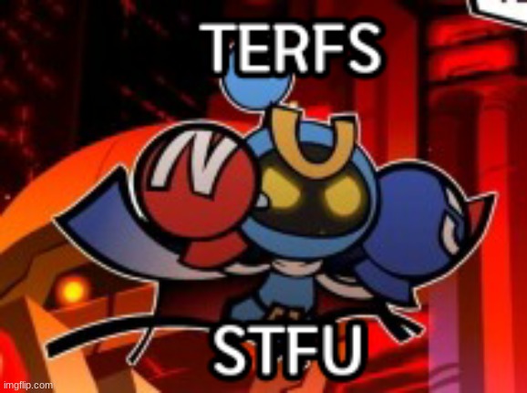 Magnet Bomber wants you to say no to Terfs | image tagged in magnet bomber hates terfs | made w/ Imgflip meme maker