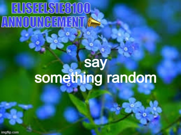 EliseElsie8100 Announcement | say something random | image tagged in eliseelsie8100 announcement | made w/ Imgflip meme maker