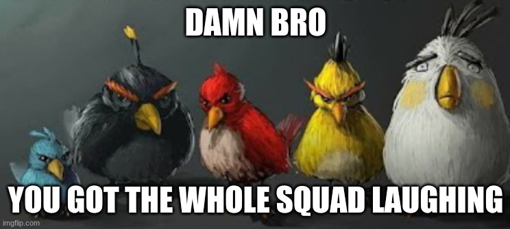 They | DAMN BRO; YOU GOT THE WHOLE SQUAD LAUGHING | image tagged in they,them,damn bro,angry birds | made w/ Imgflip meme maker