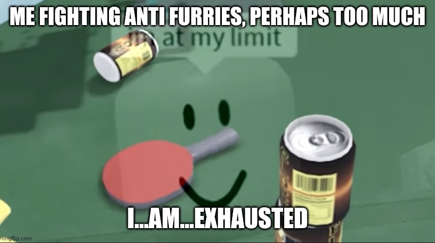 I'm at my limit | ME FIGHTING ANTI FURRIES, PERHAPS TOO MUCH; I...AM...EXHAUSTED | image tagged in i'm at my limit | made w/ Imgflip meme maker