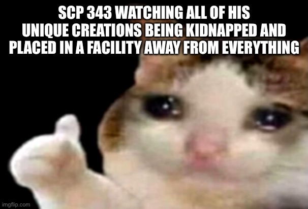 Sad cat thumbs up | SCP 343 WATCHING ALL OF HIS UNIQUE CREATIONS BEING KIDNAPPED AND PLACED IN A FACILITY AWAY FROM EVERYTHING | image tagged in sad cat thumbs up | made w/ Imgflip meme maker