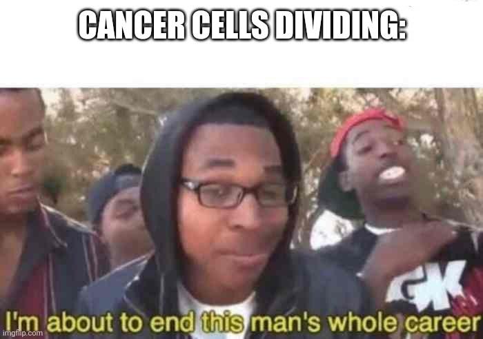 I'm about to end this man's whole career | CANCER CELLS DIVIDING: | image tagged in i'm about to end this man's whole career | made w/ Imgflip meme maker