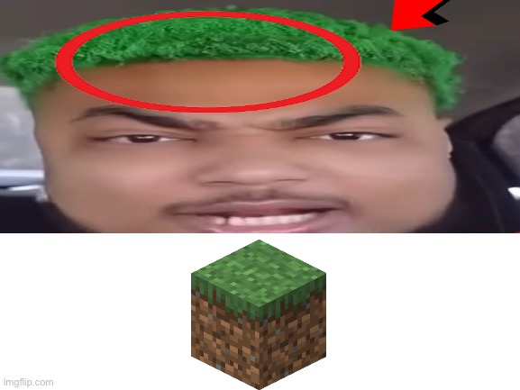 Bro’s the grass block ??? | image tagged in minecraft | made w/ Imgflip meme maker