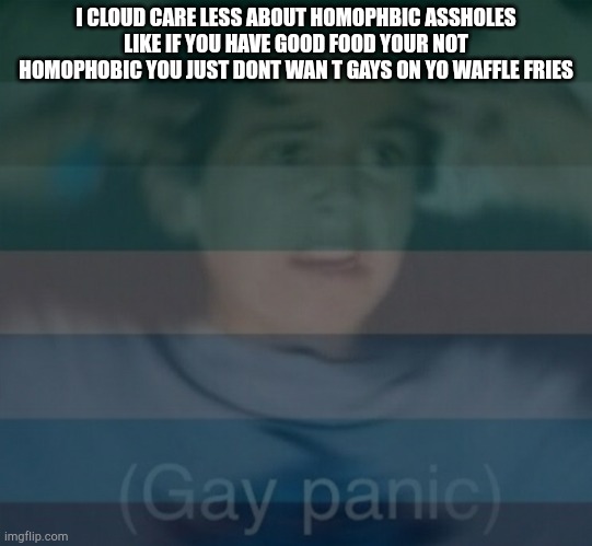 Im still not type right | I CLOUD CARE LESS ABOUT HOMOPHBIC ASSHOLES LIKE IF YOU HAVE GOOD FOOD YOUR NOT HOMOPHOBIC YOU JUST DONT WAN T GAYS ON YO WAFFLE FRIES | image tagged in gay panik | made w/ Imgflip meme maker