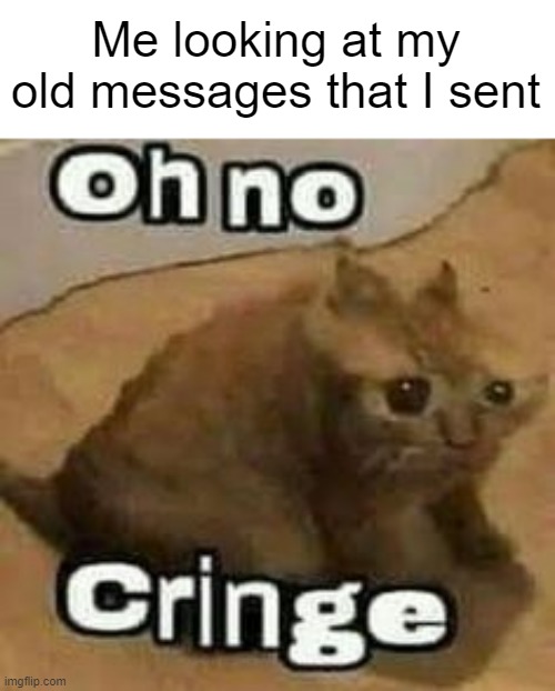 This is similar to remembering cringe things you did 9 years ago | Me looking at my old messages that I sent | image tagged in oh no cringe,memes,cringe,old is gold | made w/ Imgflip meme maker