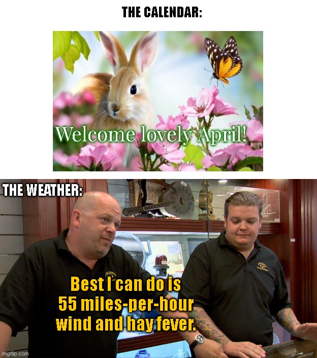 'Tis the season | THE CALENDAR:; Welcome lovely April! THE WEATHER:; Best I can do is 55 miles-per-hour wind and hay fever. | image tagged in pawn stars best i can do,springtime,calendar,seasons,humor,funny | made w/ Imgflip meme maker