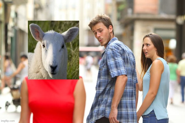 Distracted Boyfriend Meme | image tagged in memes,distracted boyfriend | made w/ Imgflip meme maker