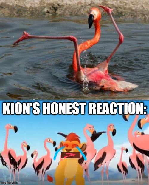 KION'S HONEST REACTION: | image tagged in flamingo fail,garbage | made w/ Imgflip meme maker