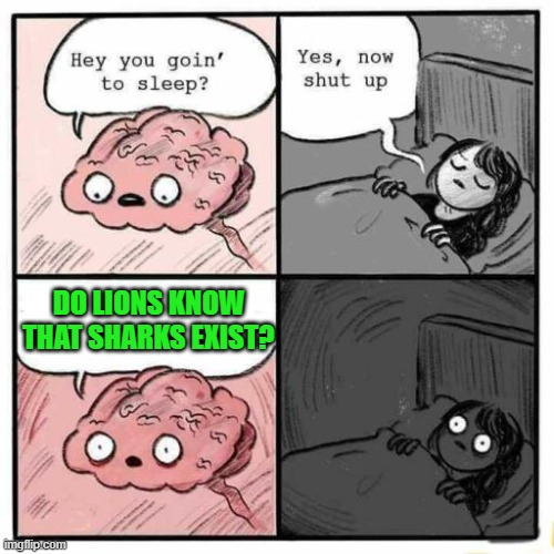 Hey you going to sleep? | DO LIONS KNOW THAT SHARKS EXIST? | image tagged in hey you going to sleep | made w/ Imgflip meme maker