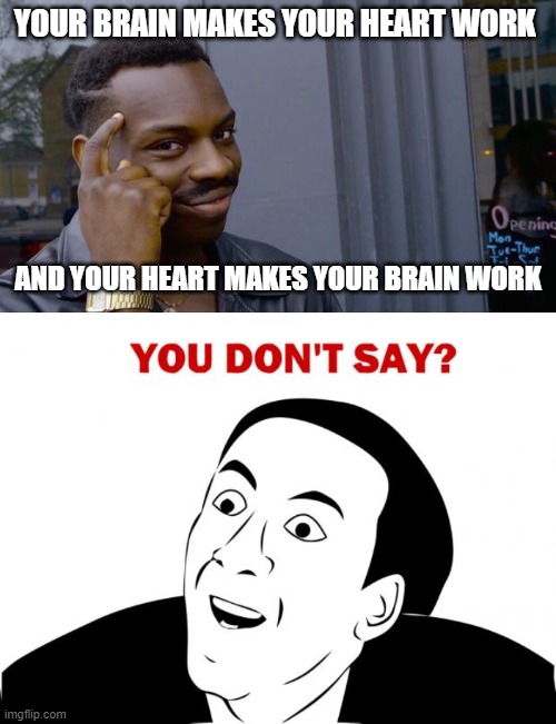 heart vs brain | YOUR BRAIN MAKES YOUR HEART WORK; AND YOUR HEART MAKES YOUR BRAIN WORK | image tagged in memes,roll safe think about it,you don't say | made w/ Imgflip meme maker
