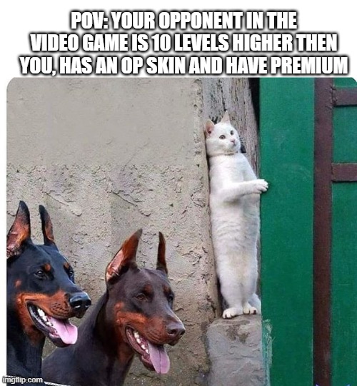 relatable | POV: YOUR OPPONENT IN THE VIDEO GAME IS 10 LEVELS HIGHER THEN YOU, HAS AN OP SKIN AND HAVE PREMIUM | image tagged in hidden cat | made w/ Imgflip meme maker