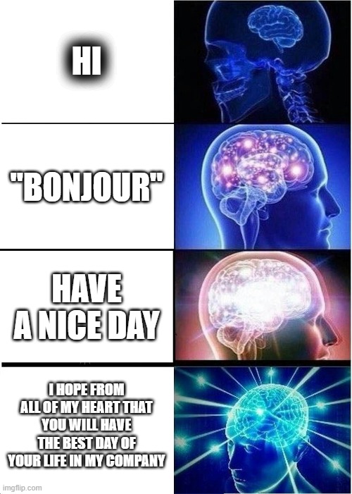 hi | HI; "BONJOUR"; HAVE A NICE DAY; I HOPE FROM ALL OF MY HEART THAT YOU WILL HAVE THE BEST DAY OF YOUR LIFE IN MY COMPANY | image tagged in memes,expanding brain | made w/ Imgflip meme maker