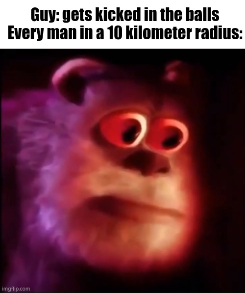 Monster inc. | Guy: gets kicked in the balls
Every man in a 10 kilometer radius: | image tagged in monster inc,balls,boy,idk,idfk | made w/ Imgflip meme maker