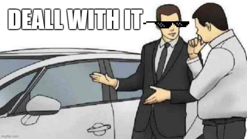 msmmers would like this (internal mongoloid) | DEALL WITH IT | image tagged in memes,car salesman slaps roof of car | made w/ Imgflip meme maker