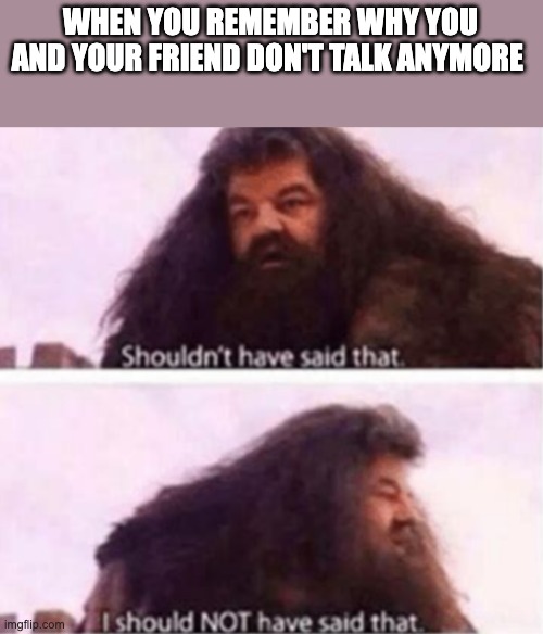 Shouldn't have said that | WHEN YOU REMEMBER WHY YOU AND YOUR FRIEND DON'T TALK ANYMORE | image tagged in shouldn't have said that | made w/ Imgflip meme maker