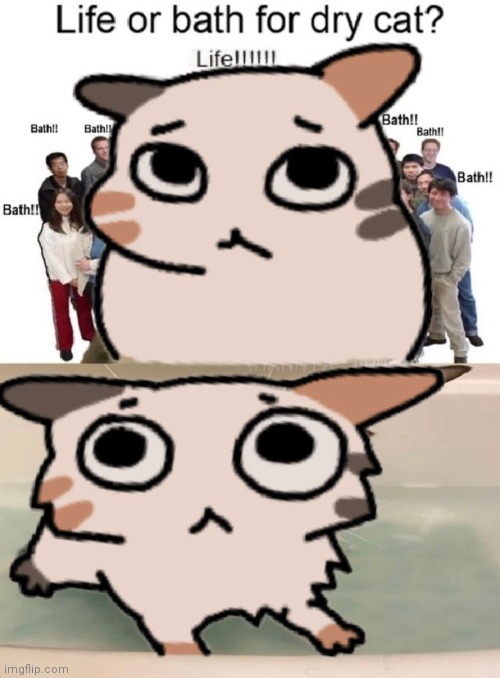 made w/ Imgflip meme maker