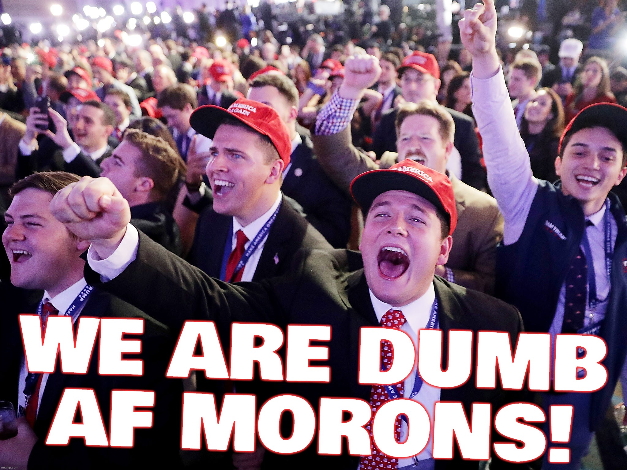WE ARE DUMB AF MORONS! | image tagged in true,sad but true,true story,funny because it's true,too true,true dat | made w/ Imgflip meme maker